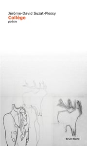 Image of Jérôme-David Suzat-Plessy - "Collège"