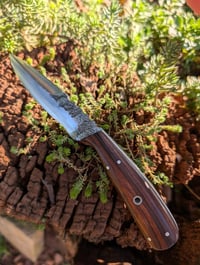 Image 2 of IRONWOOD FIGHTER HYBRID