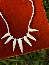 Image 1 of Hawaiian auger pearl necklace