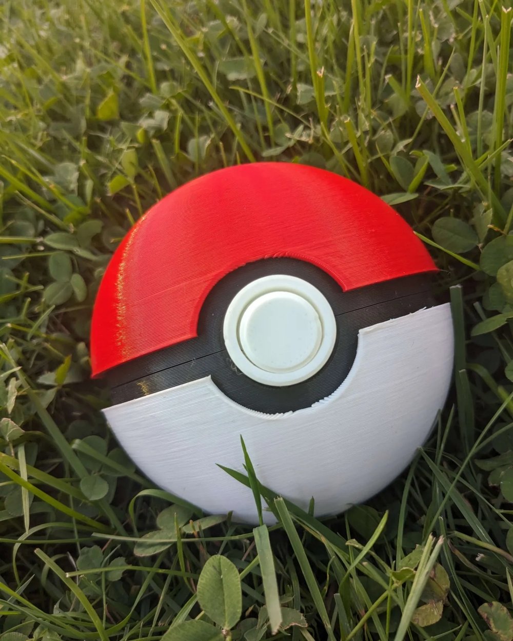 Image of Pokeball Switch Game Case