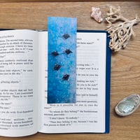 Bookmark “Manta Rays”