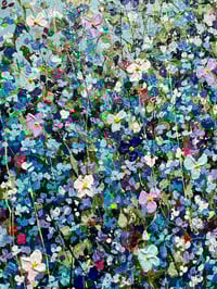 Image 4 of Forget~me~not