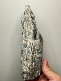 Image 4 of Kyanite in Quartz feldspar schist | Brazil #2686