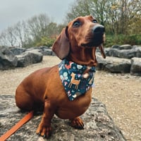 Image 1 of Dachshund woodland creatures bandana