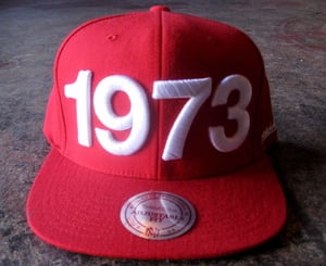 Image of THE ORIGINATORS x MITCHELL & NESS 1973 'BIRTH OF HIP-HOP' SNAP-BACK