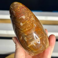Image 5 of Petrified Wood Freeform (34A)