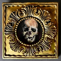 Image 4 of Estudio de cráneo 