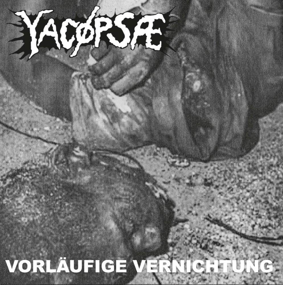 Image of Yacopsae - "VORLÄUFIGE VERNICHTUNG” LP (German Import)