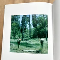 Image 7 of Rinko Kawauchi - The River Embraced Me (Signed)
