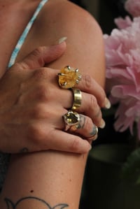 Image 3 of Citrine Claws