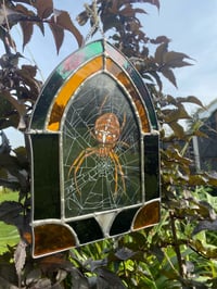 Image 1 of Spiders home