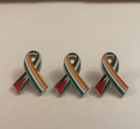 Image 1 of 3 Ireland Palestine Badges (Available Worldwide)