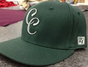 Image of 2012 Official on field fall cap