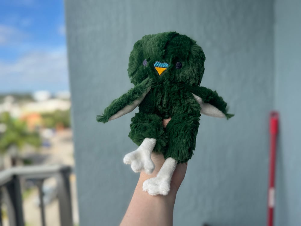 Image of The Parakeets