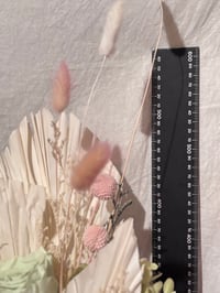 Image 4 of Tall Whispers