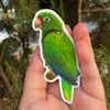 Cotorra Puertorriqueña Sticker | Puerto Rican Parrot Sticker