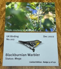 Image 1 of Blackburnian Warbler - No.102 - UK Birding Pins - Enamel Pin Badge