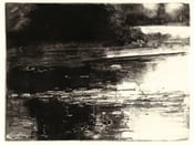 Image of Belle Isle Reflection II