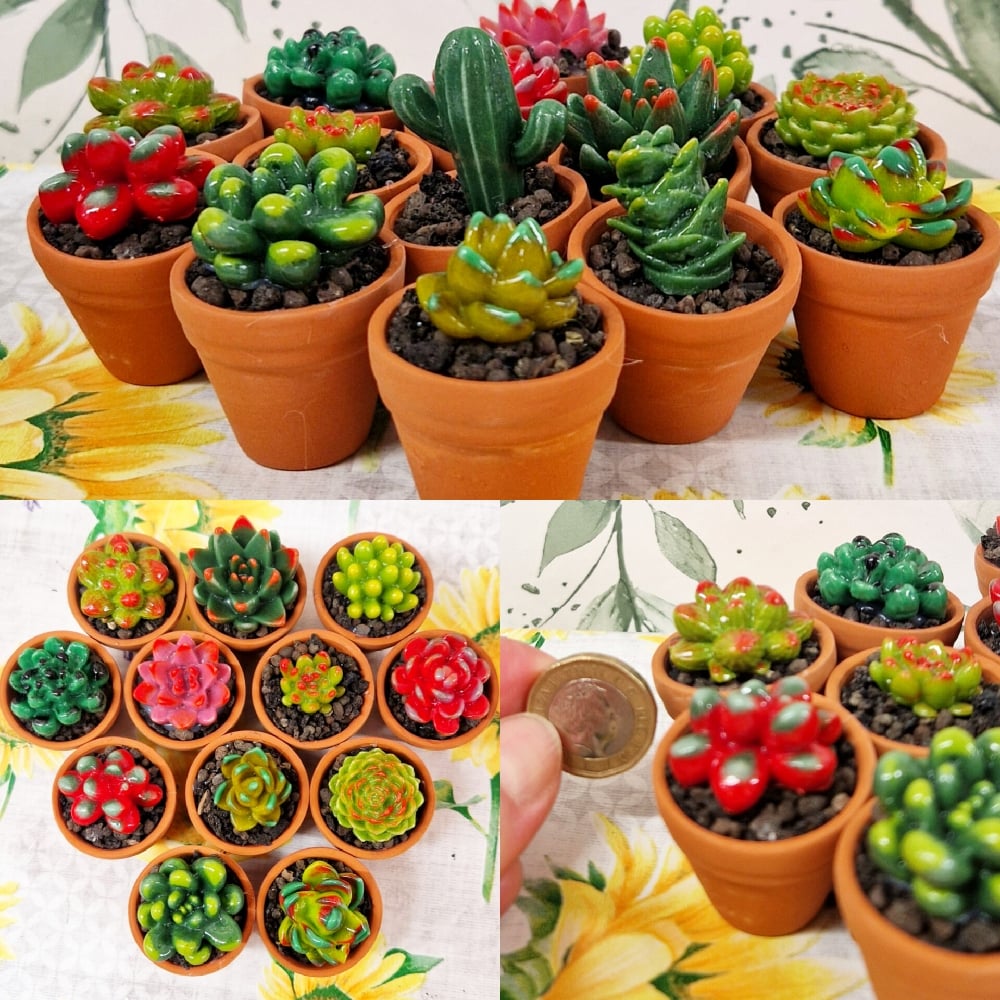 Image of Lucky Dip Mini Succulent in Terracotta pot