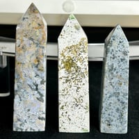 Image 4 of Ocean Jasper Towers