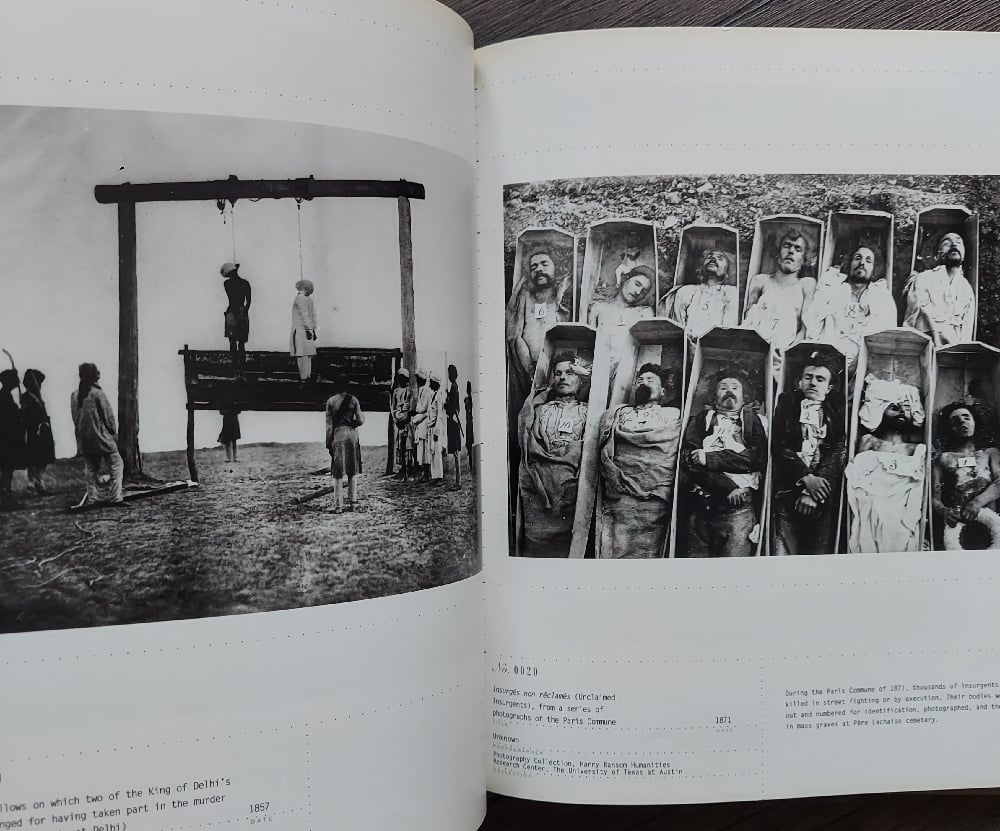 Police Pictures: The Photograph as Evidence, by Sandra S. Phillips