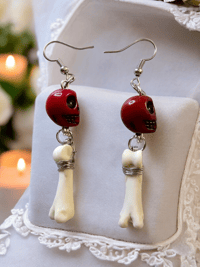 Coyote Toe Bone & Skull