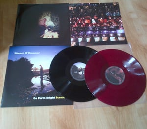 Image of Go Forth Bright SCENIC (2X12" LP & digital copy)