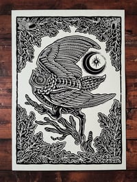 Image 1 of Barn Owl Print