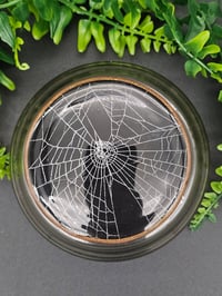 Image 3 of Vintage decorative glass Jar with  Real Preserved Web A