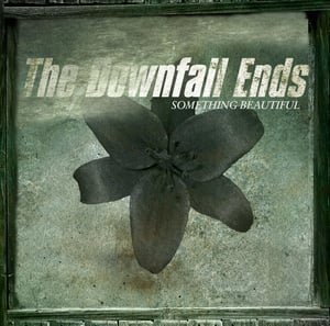 Image of NEW!! The Downfall Ends **Debut CD, 2010**