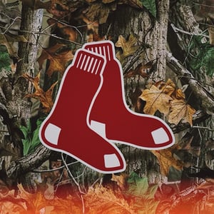 ( PRE ORDER ) SOX IN THE WOODS 🧦🌲 