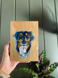 Image 1 of Pet Shelfie (CUSTOM)
