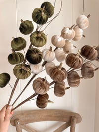 Image 1 of SALE! Luxury Pumpkin Stems ( 4 options )