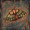 Magickal Moth