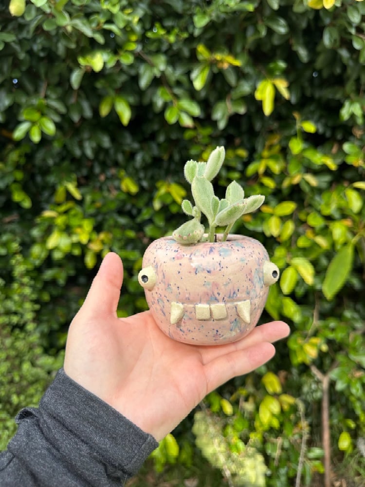 Image of Yaeba monster planter