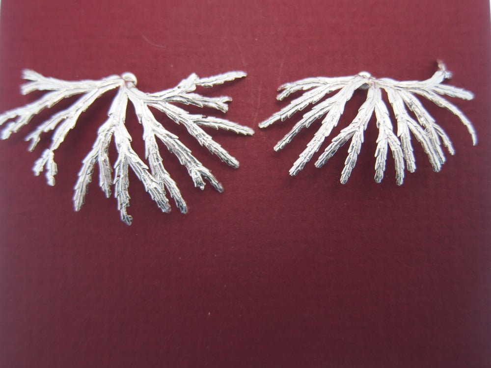 Image of Fougère boucles d'oreilles