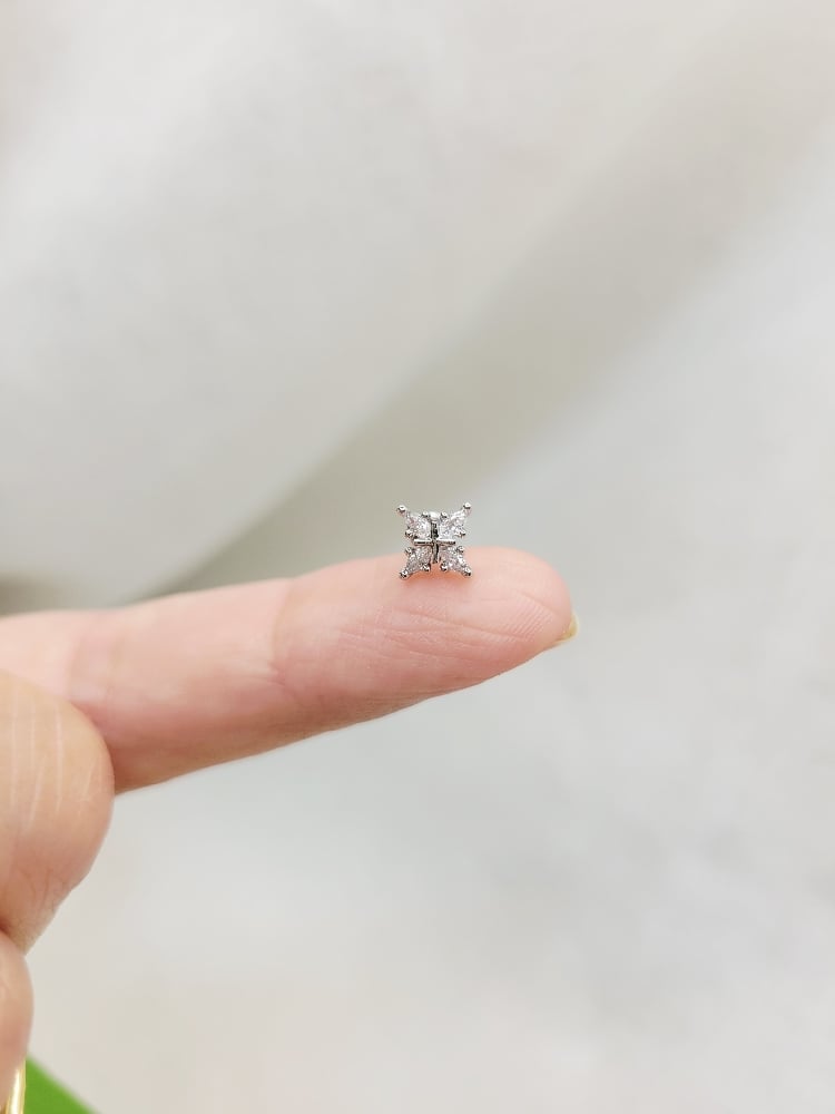 Image of Carlidge Earrings 