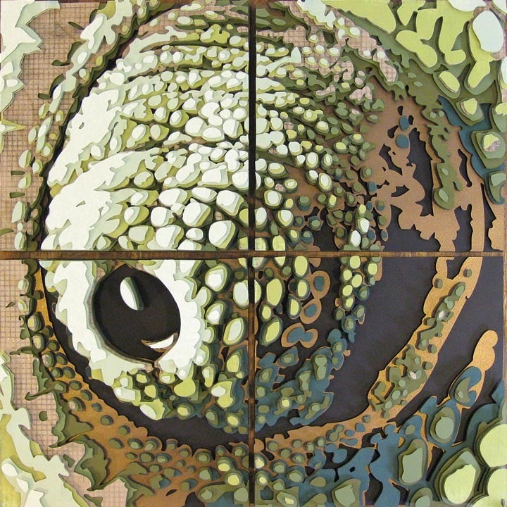 Image of Chameleon Eye Optograph