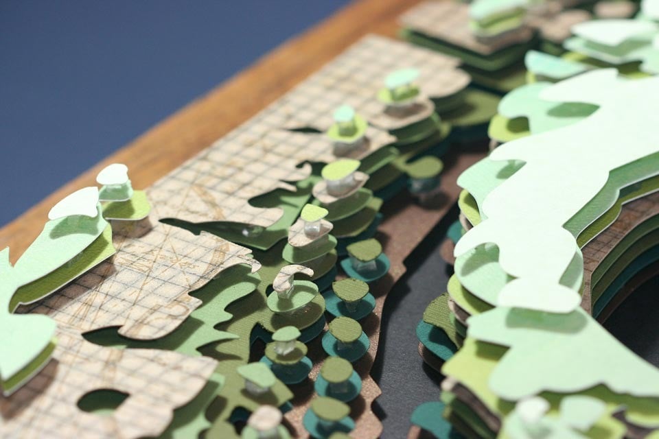 Image of Chameleon Eye Optograph