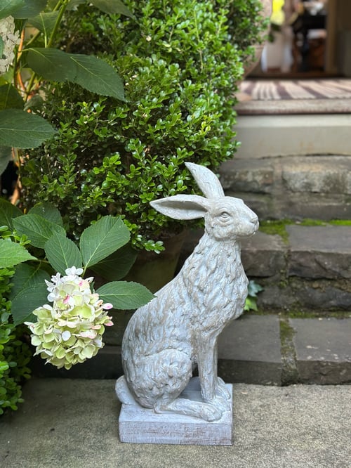 Image of Handsome Hare  on base