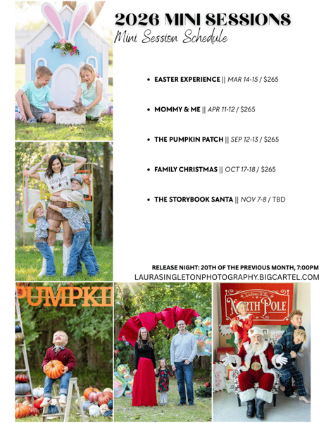 Image of 2026 Mini Session Special