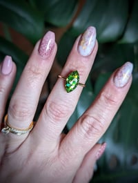 Image 3 of The Marquise 