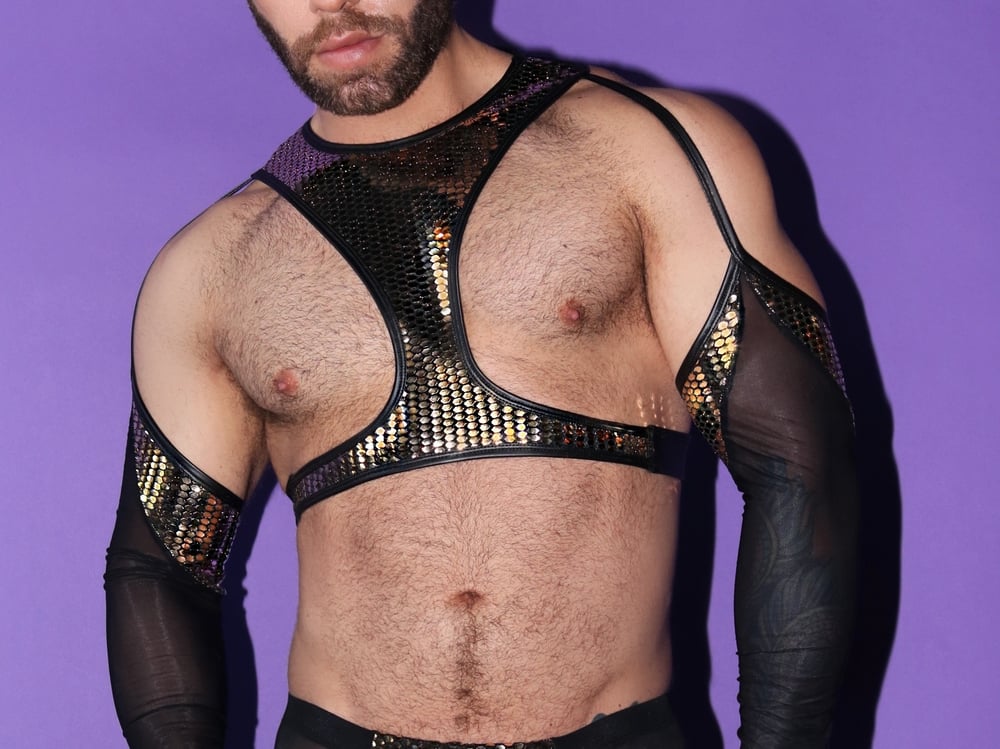 Image of THE GOLDEN TICKET HARNESS