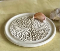 Image 1 of Garlic graters in assorted glazes