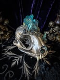 Light Blue Aura Quartz & Chalcopyrite- Bobcat Skull