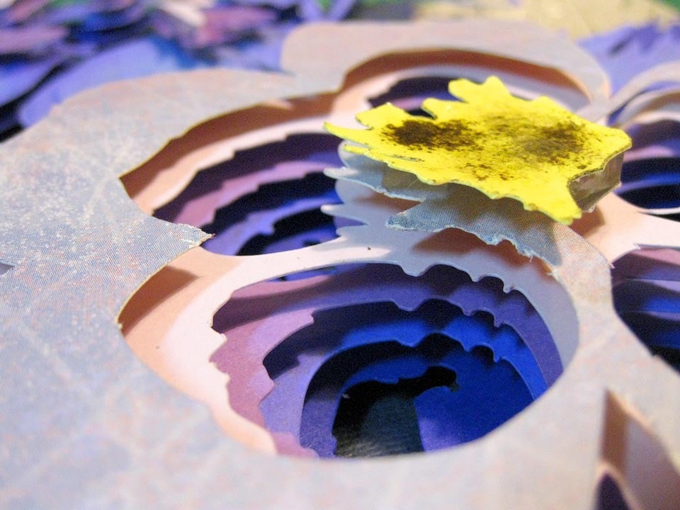 Image of Flower of Five Doves Optograph