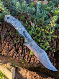 Image 1 of DAWNMIST BOWIE