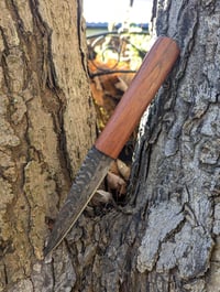 Image 2 of Large Elite Cu Mai Sgian Dubh