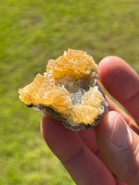 Image 8 of Golden Selenite Specimen #2218