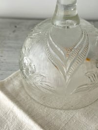 Image 5 of Duo de grandes coupes à fruits